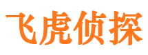 开原市侦探调查公司